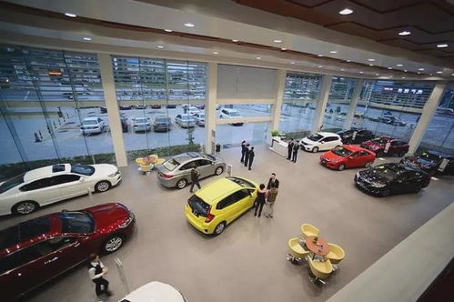 廣匯停牌 誰在顛覆汽車銷售 新汽車十年